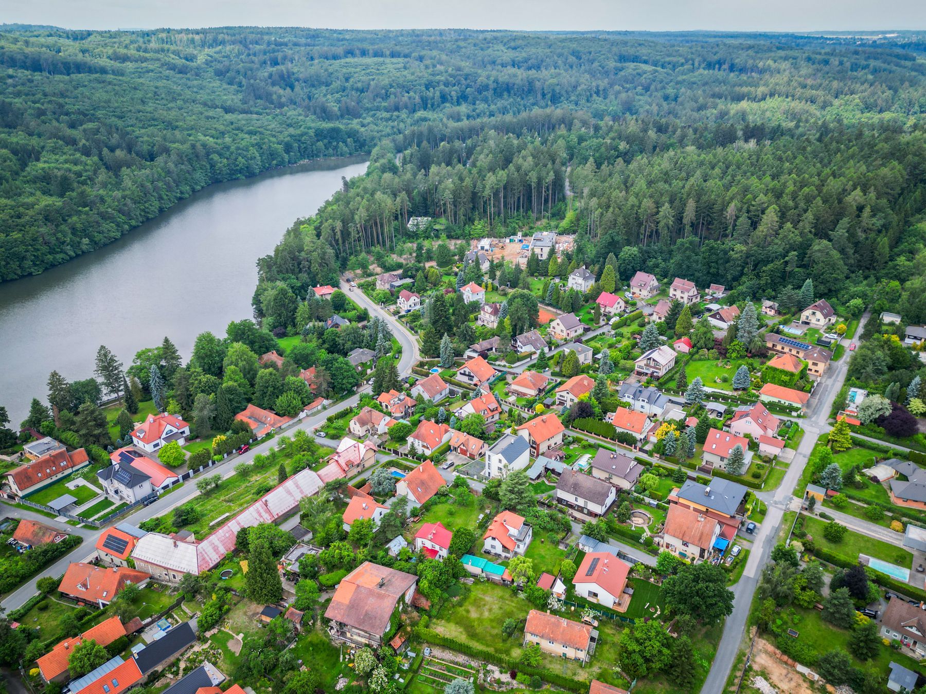 Voděradské bučiny